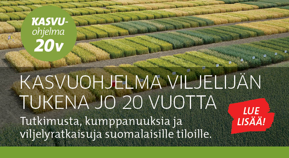 Kasvuohjelma 20 vuotta